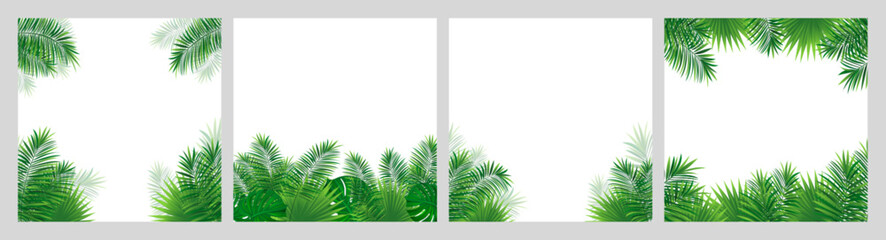 tropical frames vector collection. Amazon tropic palms leaves cards set. Rainforest plants, beautiful foliage border for travelling concept, advertising sale covers, summer and party designs.
