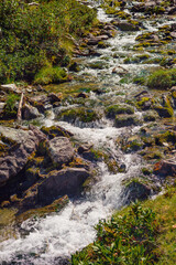 shallow alpine river with a fast flow and stones on the bank - 728095192