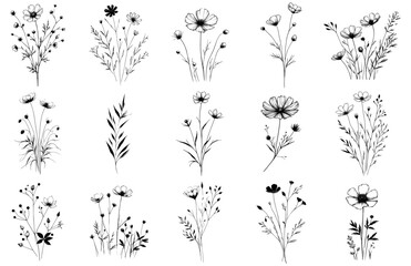 Vector wildflowers and herbs .Hand drawn ink Sketch. Doodle style