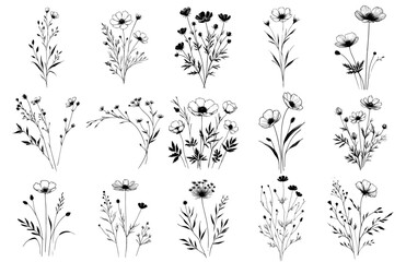Vector wildflowers and herbs .Hand drawn ink Sketch. Doodle style