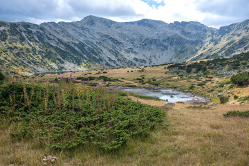 Fototapeta na wymiar Rila mountain near The Fish Lakes (Ribni Ezera), Bulgaria