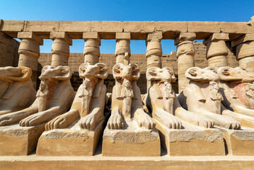 Row of ram sphinxes in Karnak Temple in Luxor, Egypt - 728101399