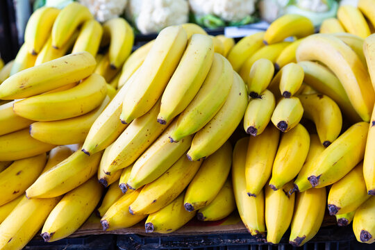 Bundles of ripe sweet bananas at farmers market