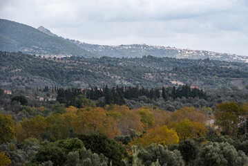 autumn landscape of Evia, Greece