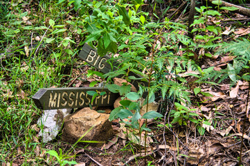 Old signpost along a hiking trail to Mississippi Creek in Colquhoun State Forest in East Gippsland, Victoria, Australia
