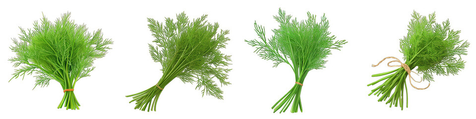 Bunch of dill. Food for vegetarians Hyperrealistic Highly Detailed Isolated On Transparent Background Png File