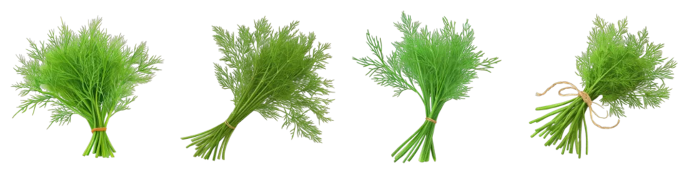 Fotobehang Bunch of dill. Food for vegetarians Hyperrealistic Highly Detailed Isolated On Transparent Background Png File © Wander Taste