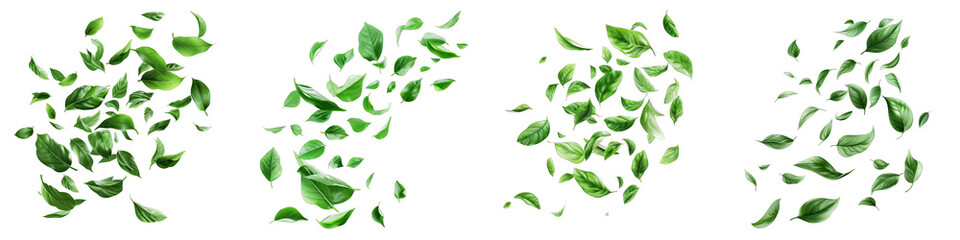 Green leaves fly with a gust of wind Hyperrealistic Highly Detailed Isolated On Transparent Background Png File - obrazy, fototapety, plakaty