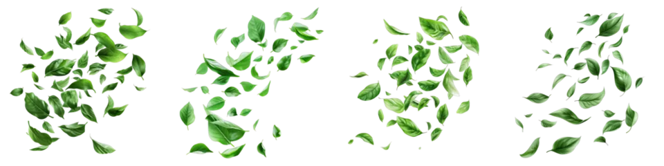 Foto op Plexiglas Green leaves fly with a gust of wind Hyperrealistic Highly Detailed Isolated On Transparent Background Png File © Wander Taste