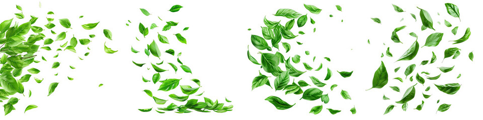 Green leaves fly with a gust of wind. Green leaves wave Hyperrealistic Highly Detailed Isolated On Transparent Background Png File - obrazy, fototapety, plakaty