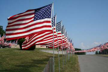 Memorial Day American flags waving