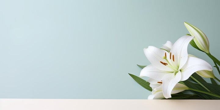 Macro shot of a white lily with a minimal floral card