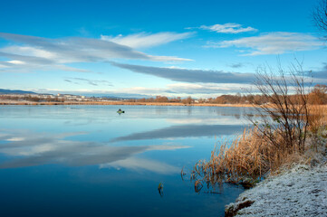 winter on the shore of a frozen lake on a sunny day