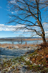 winter on the shore of a frozen lake on a sunny day