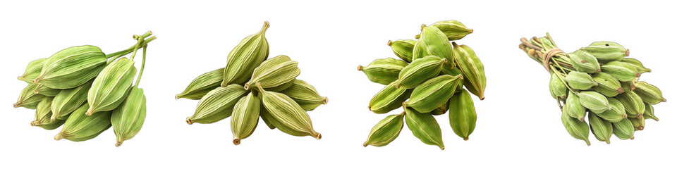 A Bunch Of Fresh Fragrant Cardamom Hyperrealistic Highly Detailed Isolated On Transparent Background Png File White Background Photo Realistic Image