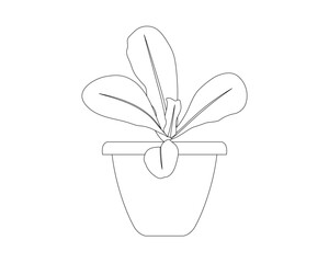 Line drawing of a houseplant, vector illustration
