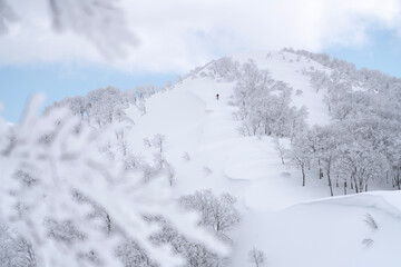 山頂を目指す　信州鍋倉山