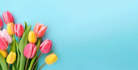 Colorful tulips border banner on blue background with copy space - obrazy, fototapety, plakaty