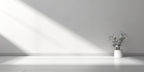 Minimal white interior background, with gray shadows in corners.