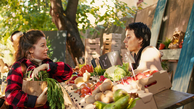 Group of people talking about bio fresh farmers market products, client checking organic natural fruits and vegetables. Farmer and consumer meeting at food market counter, grocery shop.