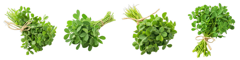 A Bunch Of Fresh Fragrant Fenugreek Trigonella foenum-graecum Hyperrealistic Highly Detailed Isolated On Transparent Background Png File White Background Photo Realistic Image