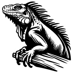 Iguana Sketch Illustration.
