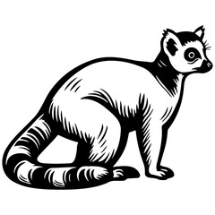 Lemur Sketch Drawing.