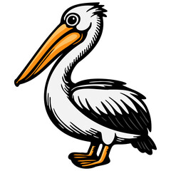 Pelican Sketch Illustration.