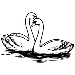 Swan Couple on Lake Illustration.