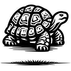 Tortoise Sketch Drawing.