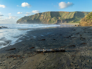 Rough seas, islands and coastline of Bethells Beach, Auckland, New Zealand.