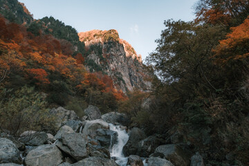 Obraz premium 秋の峡谷