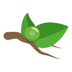 3D Isometric Flat  Illustration of Butterfly Metamorphosis. Item 7