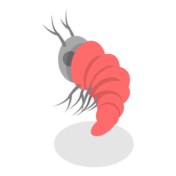 3D Isometric Flat  Set of Varieties Of Plankton. Item 7