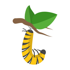 3D Isometric Flat  Illustration of Butterfly Metamorphosis. Item 6