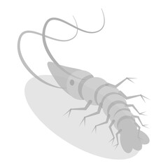 3D Isometric Flat  Set of Varieties Of Plankton. Item 6