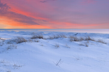 Fototapeta premium Winter landscape of beach grasses, snow and the iced shoreline of Lake Michigan at sunset, Saugatuck Dunes State Park, Michigan, USA