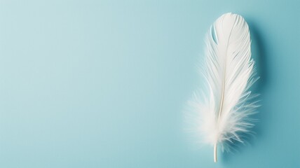 A delicate white feather lying on a blue textured surface