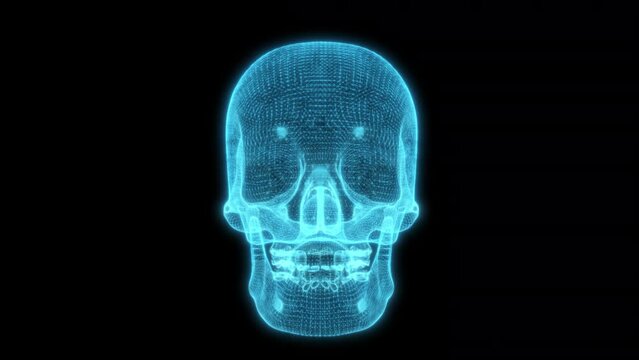 Neon Blue Human Head Skull 4k glowing 3d Hologram Skeleton loop animation for medical, educational and anatomy