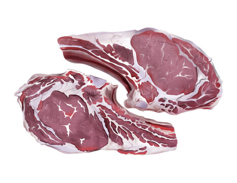 Hand drawn watercolor of Raw beef steak Isolated on transparent background