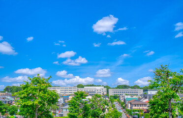 青空と緑の住宅街