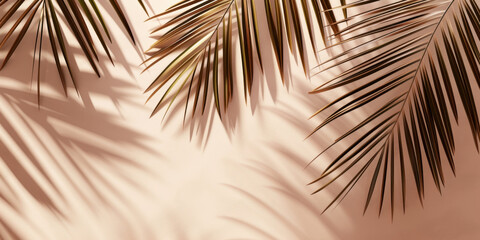 Top view of green tropical palm tree and shadow on wall background, Minimal fashion summer holiday concept. Flat lay