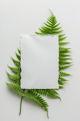 a blank note on a green piece of fern 