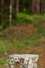 Background and wooden base ideal for displaying products  