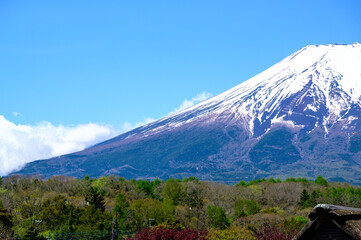 富士山