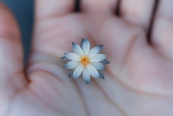 little flower with light and dark blue petals on a hand 