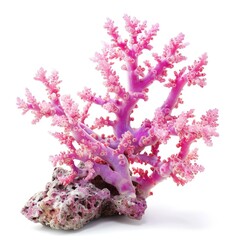 Naklejka premium Colorful natural pink coral isolated on white background for marine-themed designs, Ai Generated.