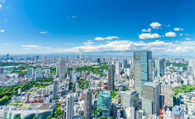 青空と緑の東京　2023　