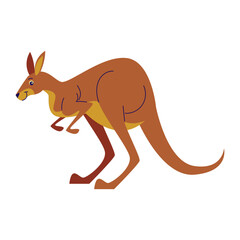 Kangaroo Cartoon Style Illustration
