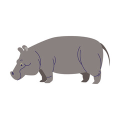 Hippo Cartoon Style Illustration